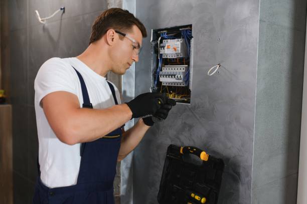 Best Licensed Electrician  in Teutopolis, IL